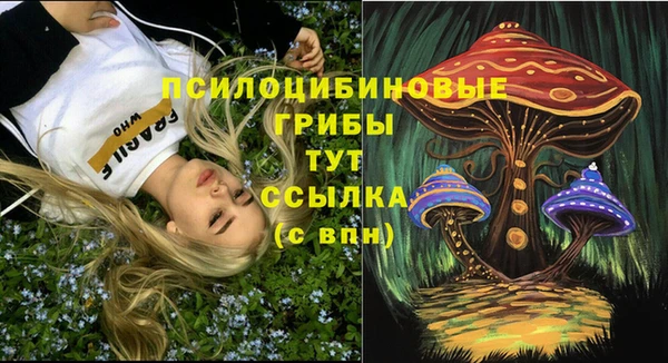 шишки Бугульма